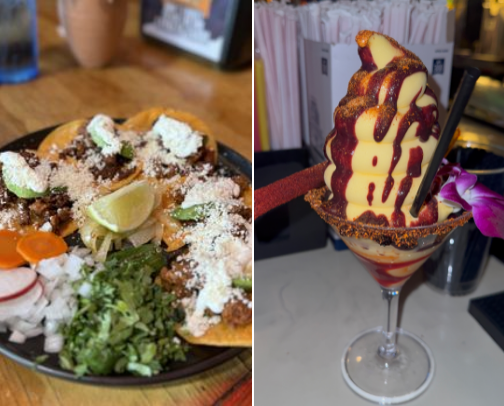 My top Houston recs cover photo collage