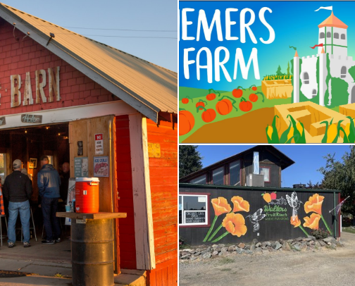 All Things Fall! 🍁🍂 cover photo collage