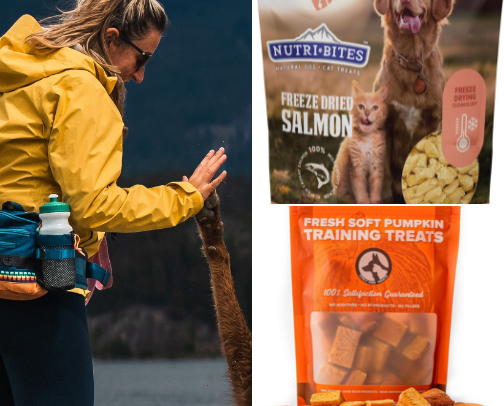 Puppy Essentials cover photo collage