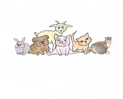 General farm animal supplies cover photo collage