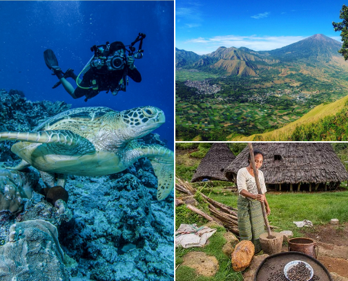 It's Time for a Vacation and Healing! 😊 cover photo collage