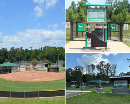 Places to visit in Dawsonville/Cumming, GA cover photo collage