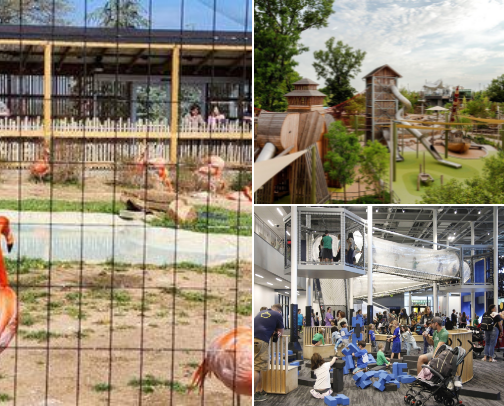Family Fun In Tulsa, OK cover photo collage