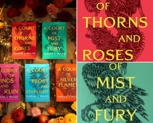 Fantasy Romance Books cover photo collage