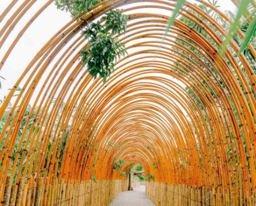 “Experience Bohol’s Stunning Nature 🌿 💚✅| My Top Must-Visit Spots + Easy Booking Links! 🌳🌴✨” cover photo collage