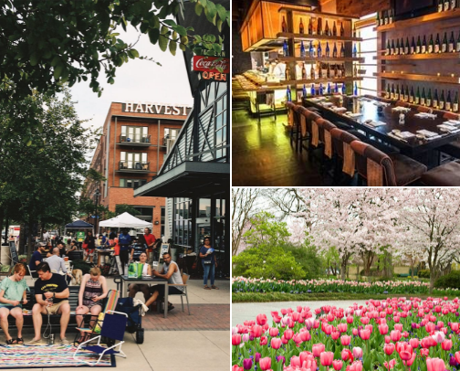 Welcome to Dallas/Forth Worth! See the sites, parks, zoos and eat at our favorite spots! cover photo collage