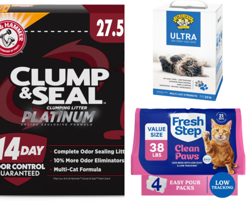 I Tried 9 Cat Litters So You Don't Have To, These Kill Odor cover photo collage