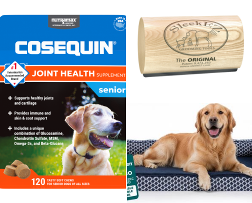 Pet Essentials cover photo collage