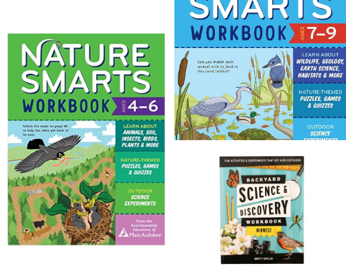 Homeschooling Favorite Books cover photo collage