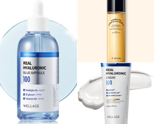 2024 in review cover photo collage