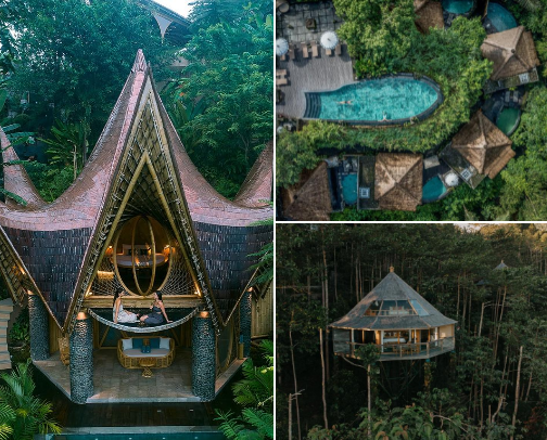 My Favorite Romantic Jungle Stays Across Bali 🌴🩷💍 cover photo collage