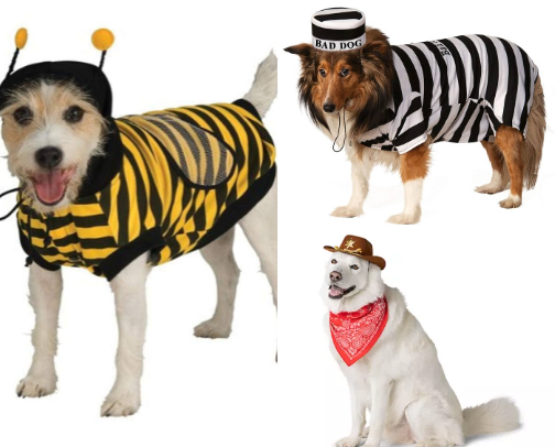 Cute Halloween costumes for pups of all sizes cover photo collage