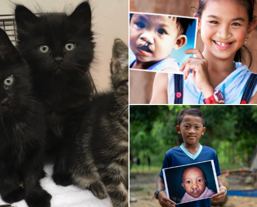 Great causes cover photo collage