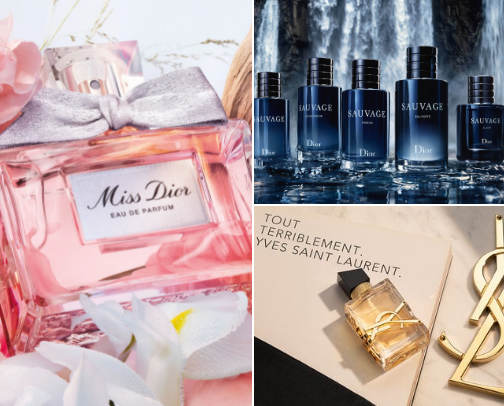 Scent-sational Picks: Trending Perfumes You’ll Love in 2025 cover photo collage