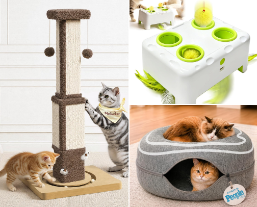 Fun things for cats cover photo collage