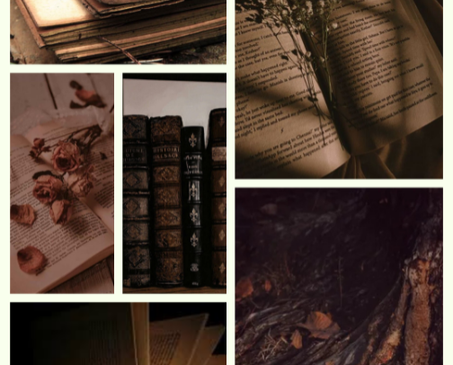 The Best Detective Books For Investigation Enthusiasts cover photo collage