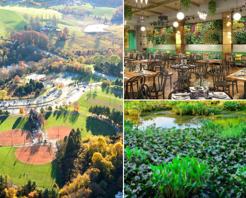 Things to do & Vegan Friendly Places in the DMV cover photo collage
