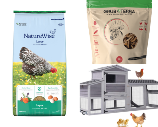 Only the best for the fluffy butts (chickens) cover photo collage