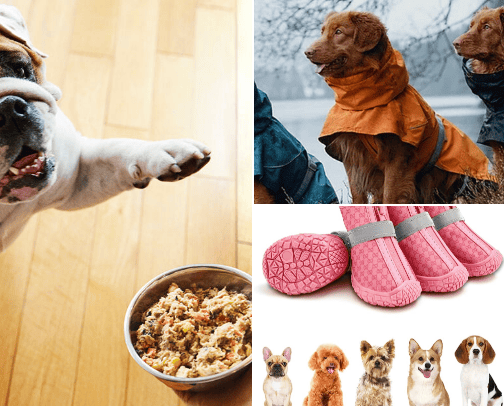 All things Dog cover photo collage