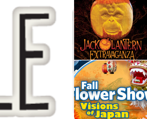 All Things Fall! Pittsburgh, PA cover photo collage