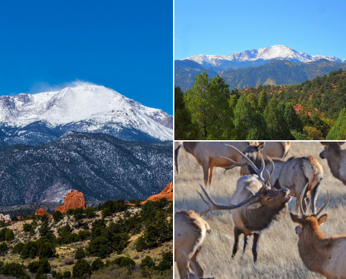 Rocky Mountain High cover photo collage