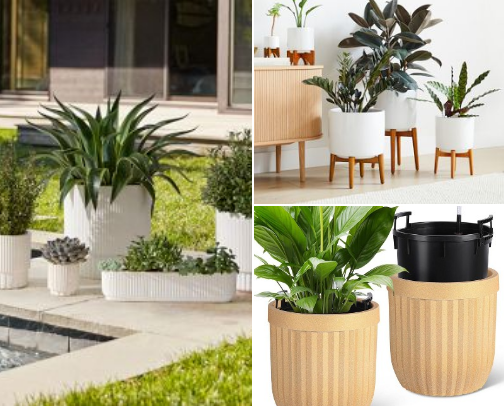 Your Plants Deserve Better: Statement Planters That Actually Slay. cover photo collage