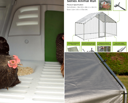 Chicken essentials cover photo collage