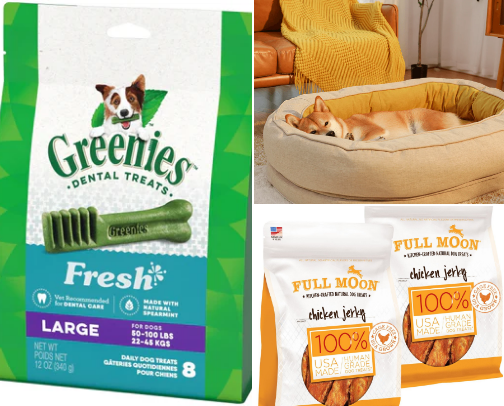 Pet Essentials: Dog Edition 🐾 cover photo collage