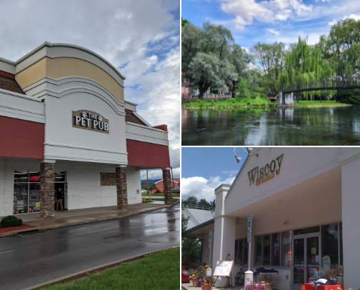 Top Places to Take Your Dog in Central PA cover photo collage