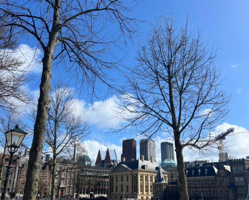 The Hague 💛💚 cover photo collage