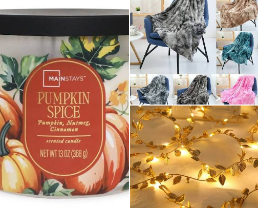 20 College Fall Essentials Under $30 🍂 cover photo collage