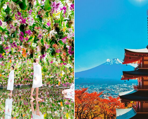 12 days in Japan cover photo collage