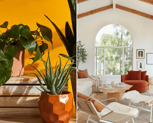 Interiors & Plantcare cover photo collage