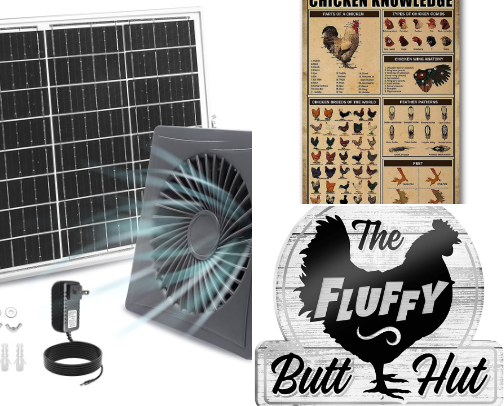 Chicken Coop Essentials cover photo collage