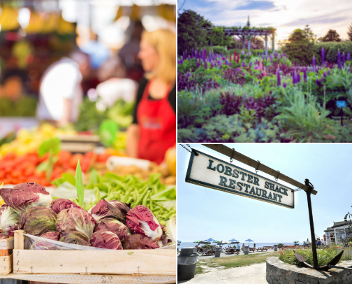 In or around Portland, Maine cover photo collage