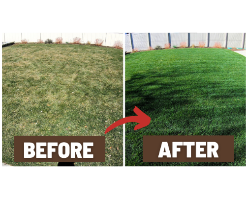 Do These 3 Lawn Tricks & Watch Your Lawn Green Up FAST (15 Days = Envy of the Neighborhood!) cover photo collage
