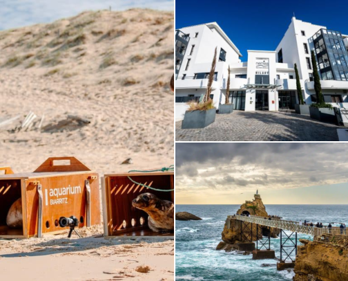 Hotel stays for an easygoing getaway, Ocean Views, Beach Days & Easygoing Places to Stay Biarritz, France cover photo collage