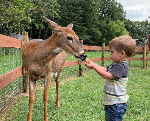 1000 Hours Outside🌲❄️ in Minnesooota cover photo collage