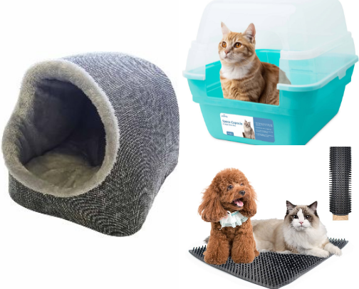🐱 Best Starter Items for Cat Owners cover photo collage
