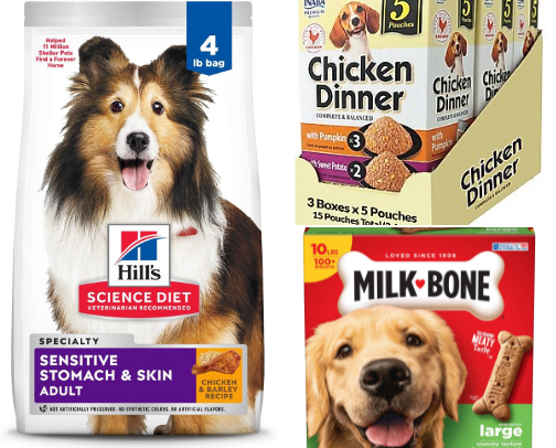 Must have pet Essentials for a Happy home 😄 cover photo collage