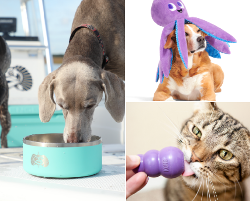 furry friend must haves cover photo collage