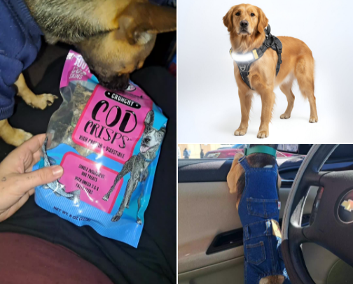Doggy Finds 🐕 🐶 cover photo collage