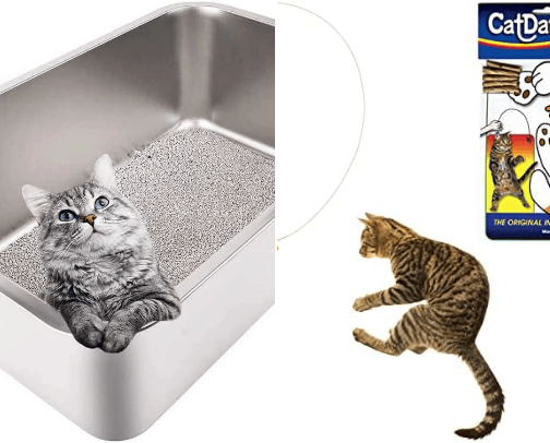 Cats cover photo collage