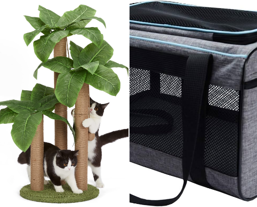 Cat Essentials cover photo collage