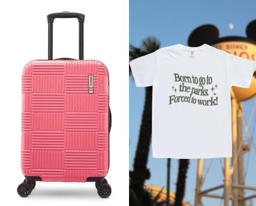 Disney World Must Haves cover photo collage