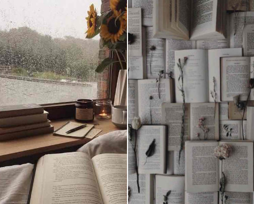 My favorite book recs cover photo collage