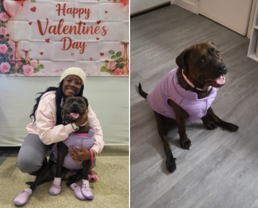 Marge's Favorites cover photo collage