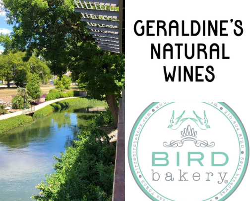 Things to do in San Antonio, TX cover photo collage