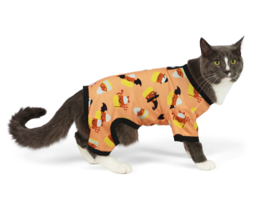 🎃 Halloween Fun: Pets, Pumpkins & Trick-or-Treat Ideas 2026 cover photo collage
