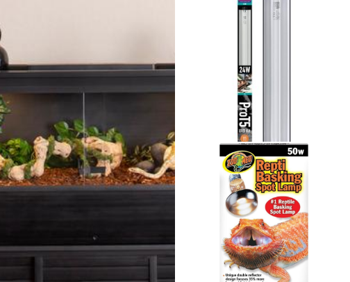 Bearded Dragon Must-Haves cover photo collage